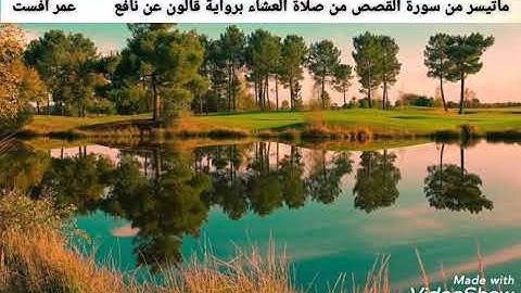 ماتيسر من سورة القصص من صلاة العشاء.       عمر أفست