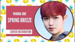 WANNA ONE - Spring Breeze: Center Distribution (Color Coded)