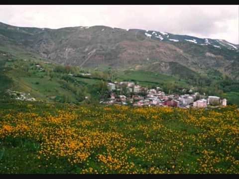 Ferhat Tunç Taşa verdim yanımı