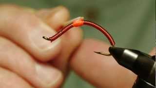 JAV Vol VIII Wire Worm