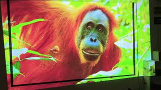 Rd Intrex Z13 Android Wi-Fi Daylight 32000 Lumens 350 Inchs Screen Size Usb Hdmi 3D 4K Emi Cod Avb