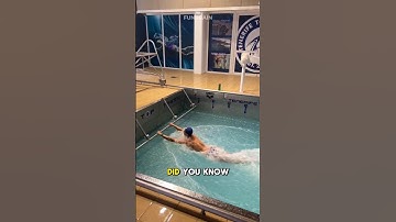 NEVER SWIM IN THIS POOL ‼️ #facts #swimming #shorts #shortsfeed