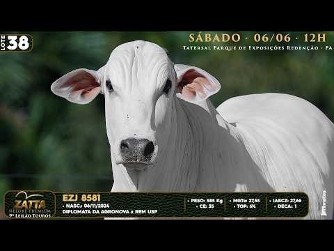 LOTE 38