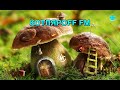 КОТЛЯРОFF FM (04.04. 2021) Маленькие Домики.