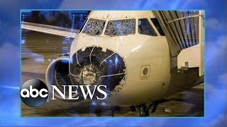 American Airlines Flight Forced to Land After Potential Bird Strike