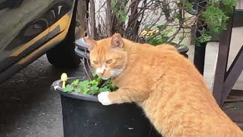 작은 빛은 움직인다 #6 A Tiny Light Moves on #6