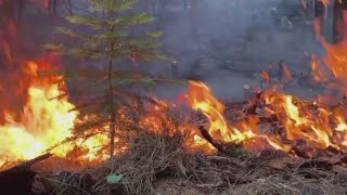 Park Fire in Califonia continues to burn, becoming the state's 6th largest