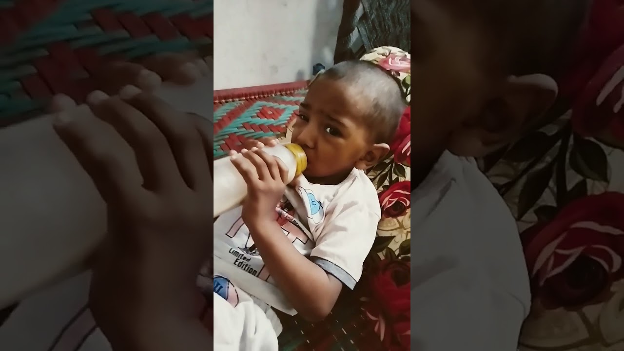 dodo pen gy ham to dodo pen gy