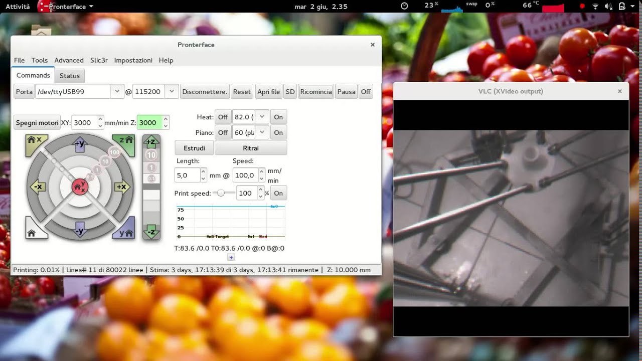 Telecontrollo delta robot