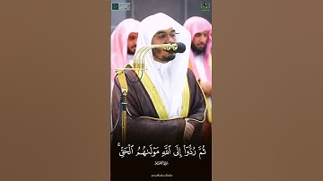 ثم ردوا إلى الله | تلاوة خاشعة للشيخ #ياسر_الدوسري من سورة الأنعام ليلة 9 رمضان 1444ه‍ـ