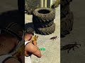 Creepy thing in gta part 4