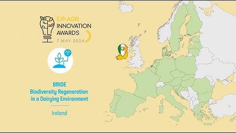 Operational Group: BRIDE – Biodiversity Regeneration in a Dairying Environment