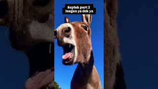 Download Lagu keplak kepala part 2 MP3