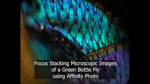 Easy Focus Stacking Microscope Images | Video Tutorial