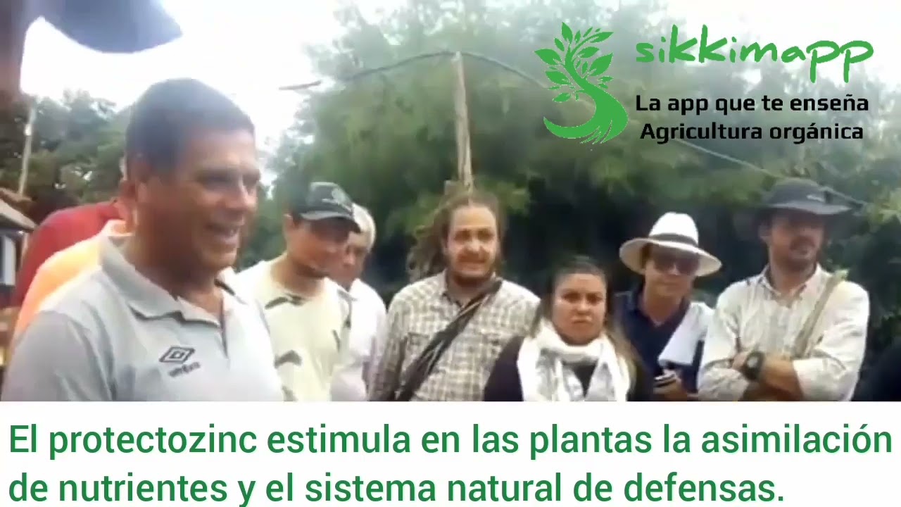 Sulfocálcico y protectozinc fungicida e insecticida orgánico Juan José Paniagua  sikkimapp