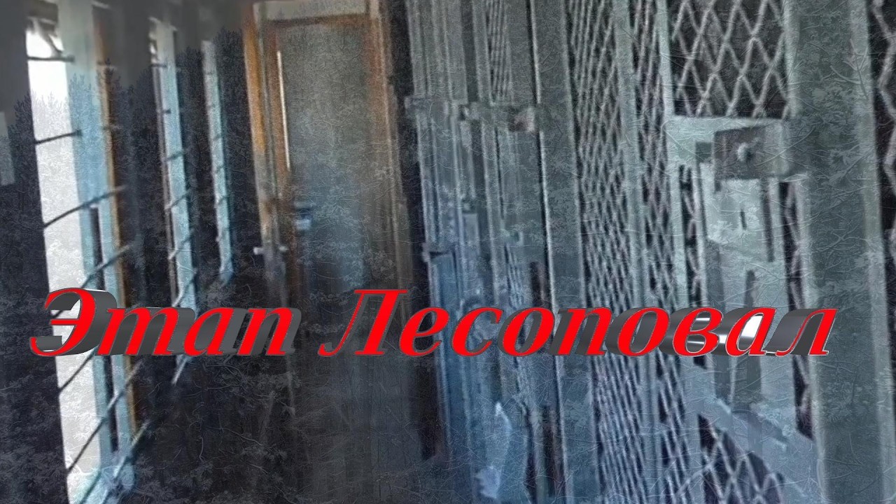 Этап  Лесоповал.Блатняк. Пробирает до мурашек... Вся тяжесть лесоповала в одной песне