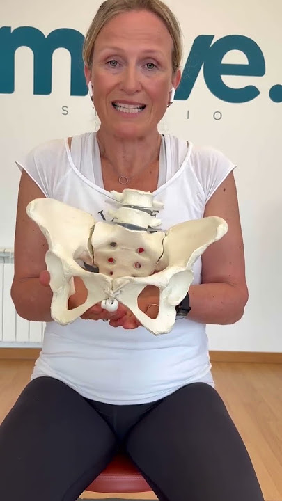 Basic anatomy and fun of the pelvic floor