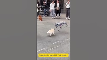 ai robot dog. who you think would win? 🏆 #ai🥰🥰