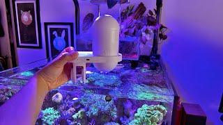 Unboxing and Setup Hygger Smart Fish Feeder with Camera
