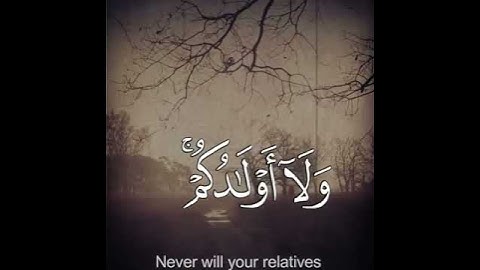 القارئ / فارس عباد