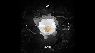 Miniatura de "Avicii - Without You (Instrumental)"