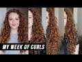 A WEEK OF CURLS: OVERNIGHT CURL ROUTINE AND DAY 2 REFRESH