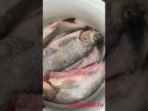 Засолка Язя для вяления