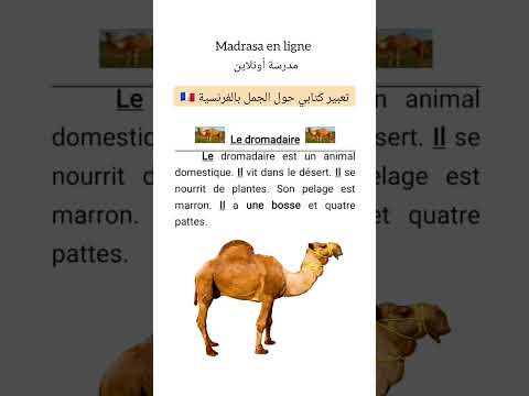 تعبير كتابي عن الجمل باللغة الفرنسية Le Dromadaire
