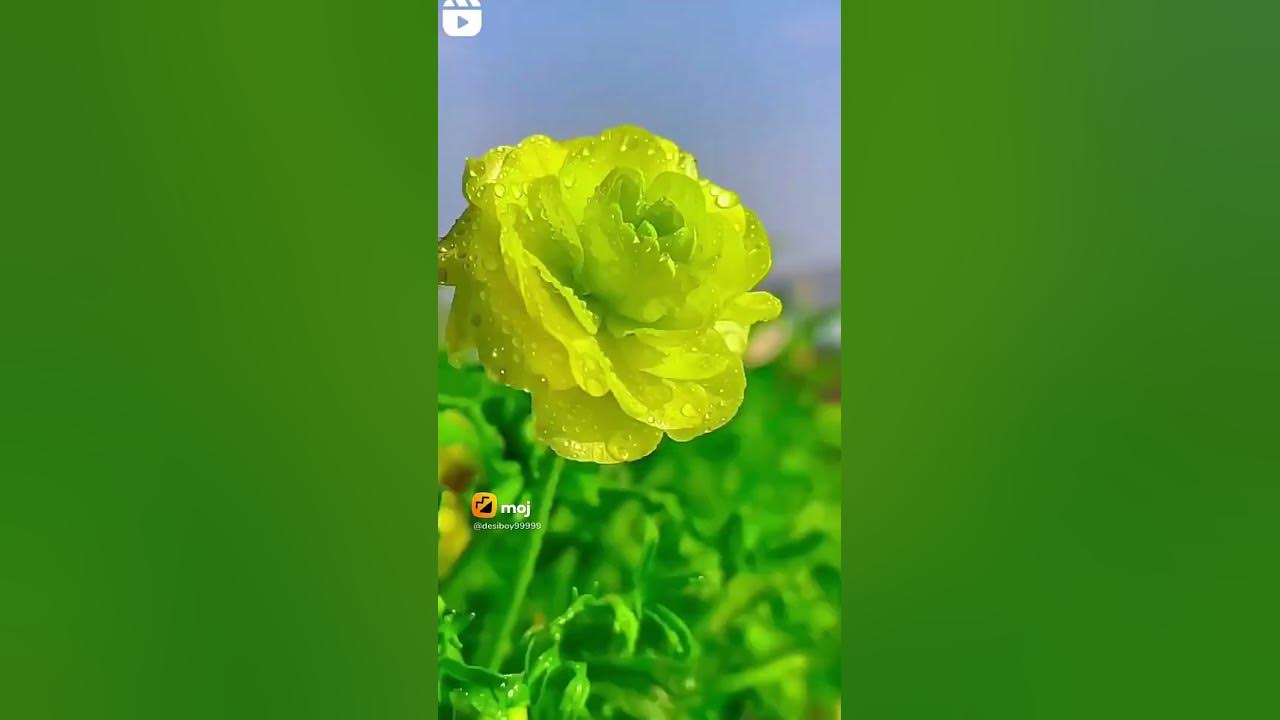 june-29-2023-youtube