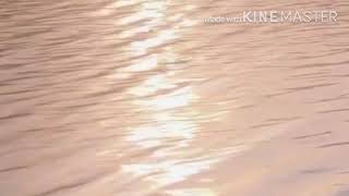 anime/hentai boobies (rain sped. ver) screenshot 4