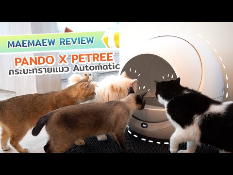 Maemaew review: Pando x Petree กระบะทรายแมว Automatic