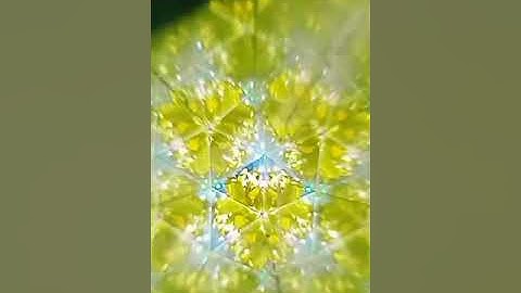 A kaleidoscope.class 8 activity 16.6