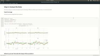 EEG Notebooks Walkthrough - N170