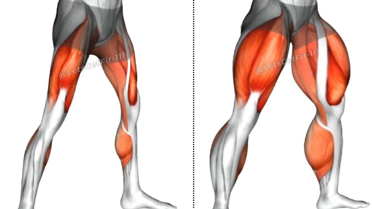 How to build Leg - Best exercises for leg building! | Let's Get Fit ...