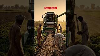 Pakistani Farmers Using Futuristic Smart Technology | Potato Harvest in Punjab 🚜🥔