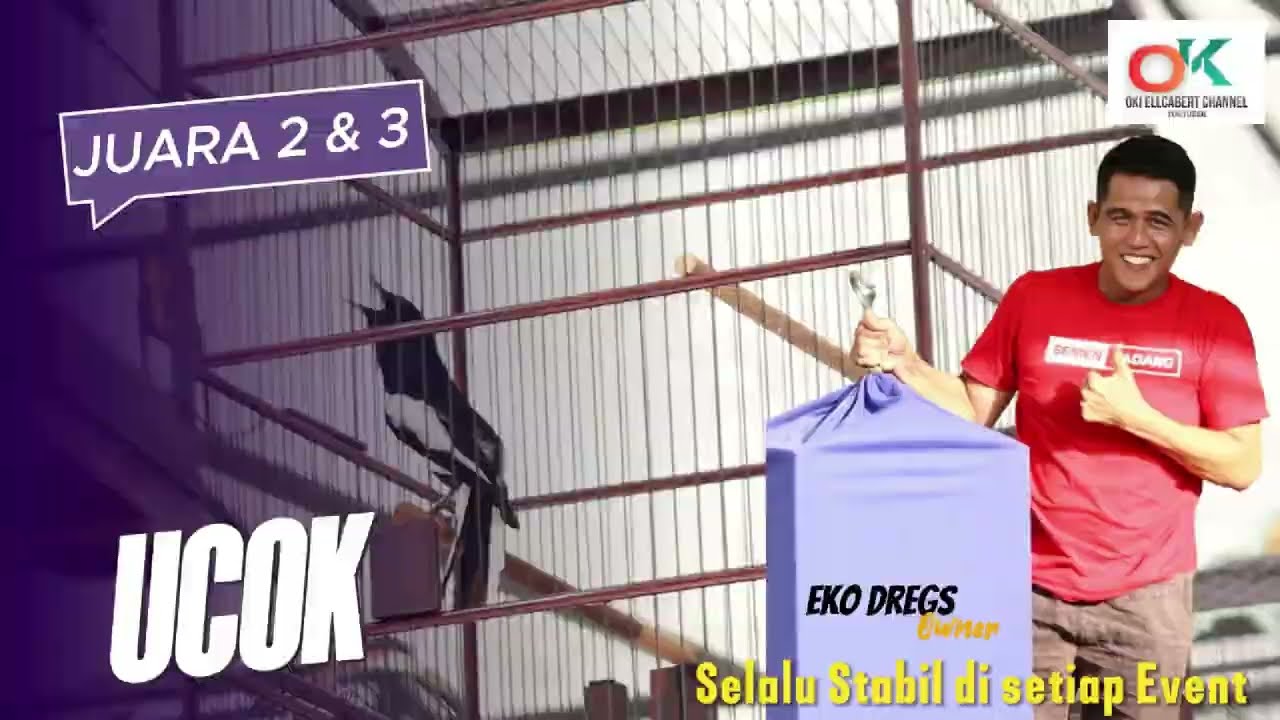 Kacer UCOK JUARA 2 & 3 Milik Eko Dregs