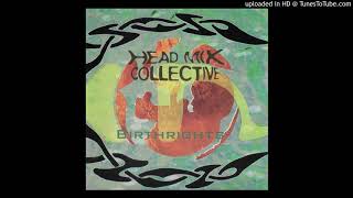 Head Mix Collective - Birthrights CD - 10 - Creation Dub (Remix By Zion Train)