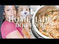 HOMEMADE DOG FOOD FOR MY CAVAPOO PUPPY | Quick, Easy, & Vet Approved!