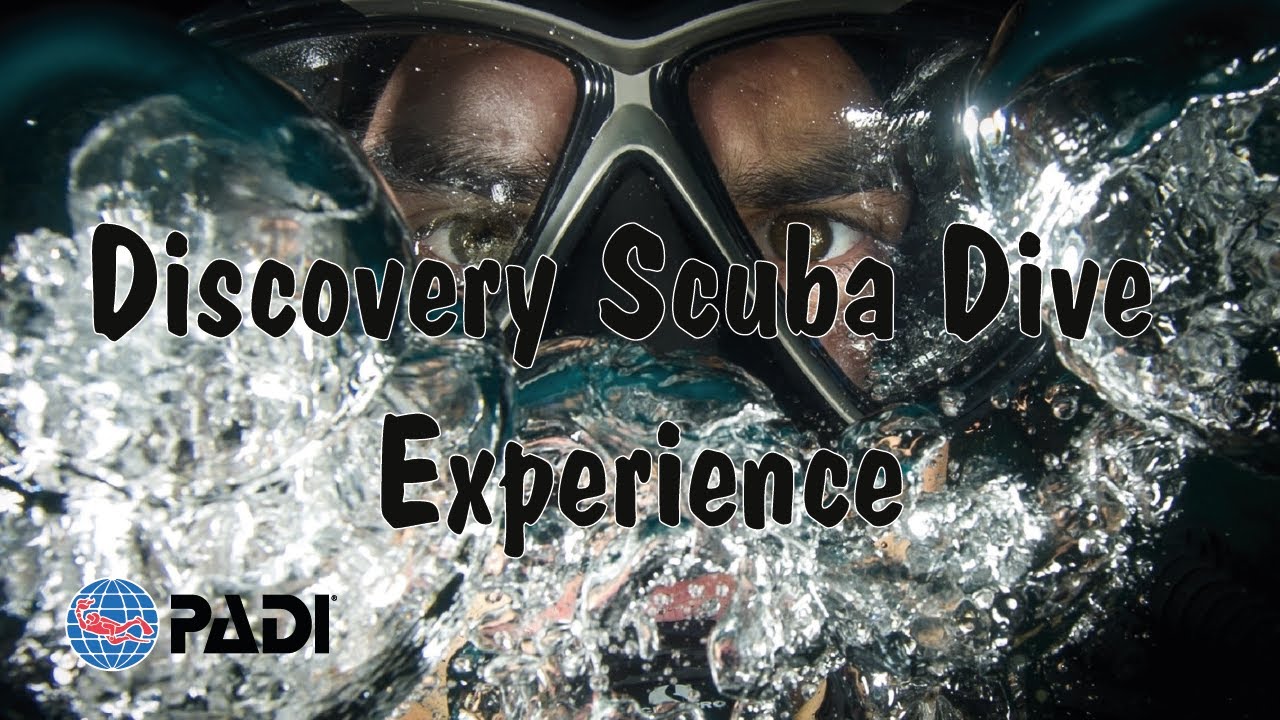 PADI Discover Scuba Diving Saudi Arabia YouTube