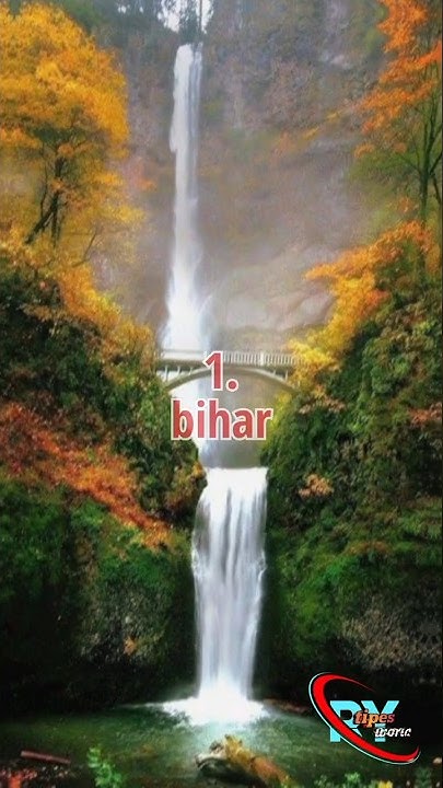 Most Popular Forest State In India short like YouTube most-popular-forest-state-in-india-short-like-youtube