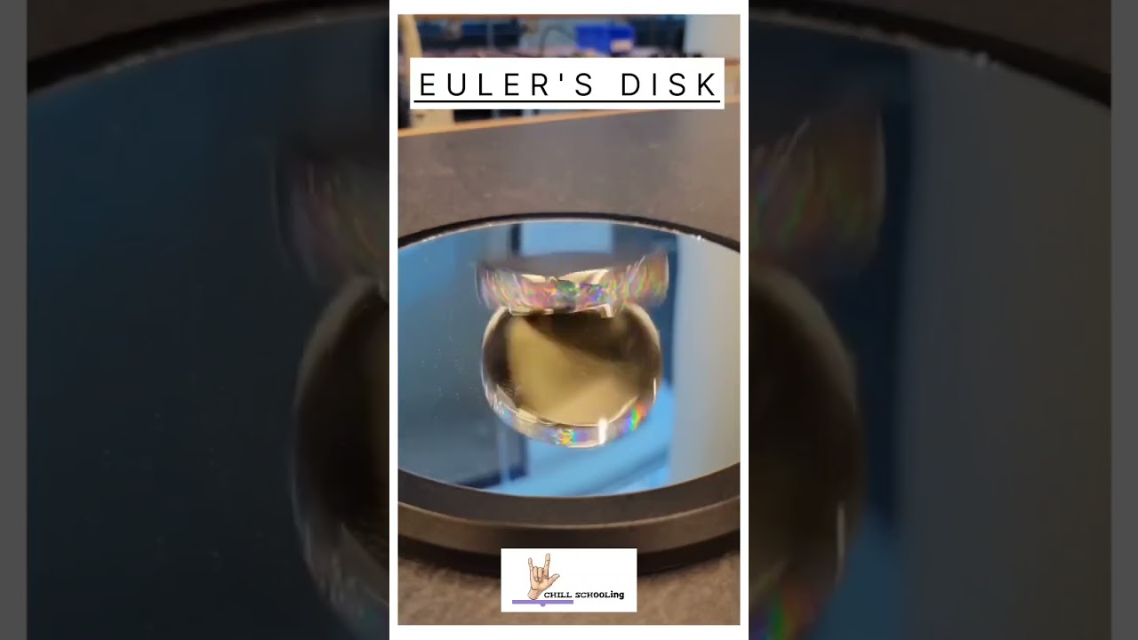 EULER'S DISK 