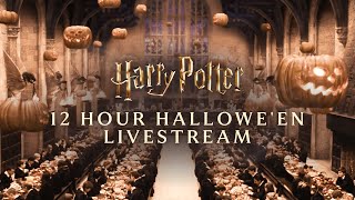 Download Lagu 🔴 LIVE: Harry Potter Halloween Compilation MP3 Download Lagu 🔴 LIVE: Harry Potter Halloween Compilation MP3
