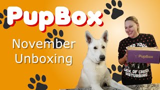 Unboxing PupBox -- November