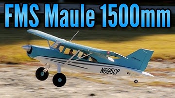 FMS Maule 1500mm PNP - Model AV8R Quick Look/Fun Flight
