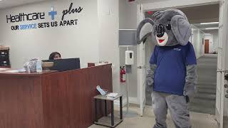 Healthcare Plus - Koko the Koala visits all of the Offices