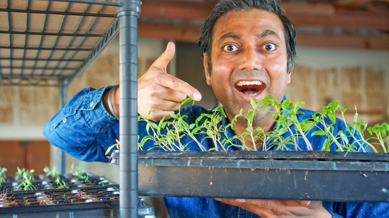 These 5 Seed Starting Tips Will Change Your Life - YouTube