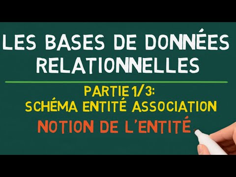 Vidéo: Que sont les rapports de base de données ?