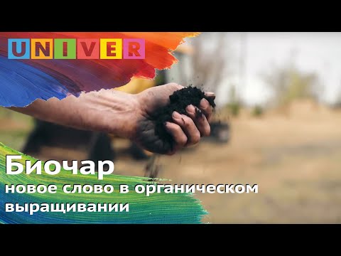 Видео: Сколько биоугля я должен использовать?