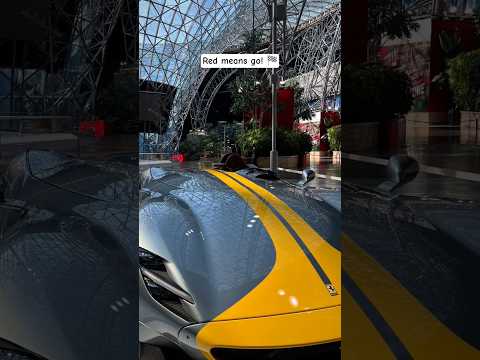 What's your favorite ride at Ferrari World? #dubai #ferrariworld #abudhabi #uae #travel #car #cars