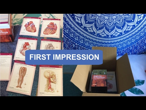 first-impression:-mosby